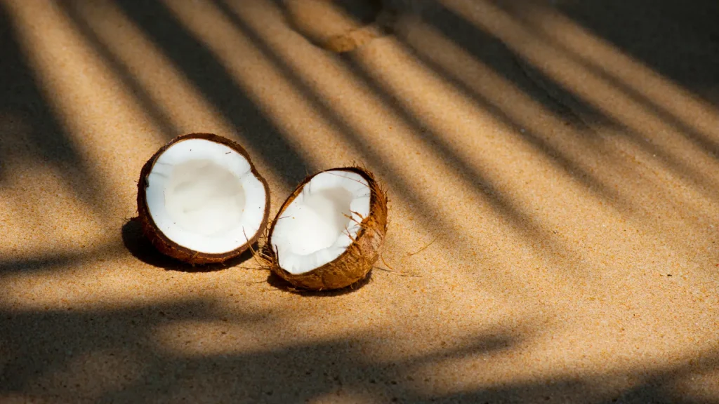 Kokos na pješčanoj plaži