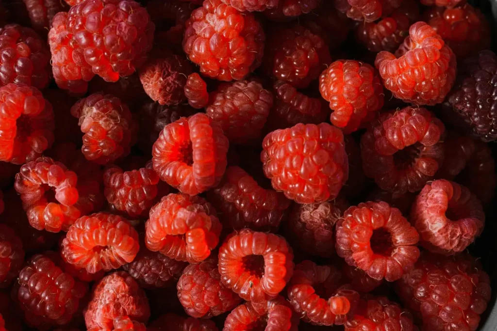 Fresh raspberries
