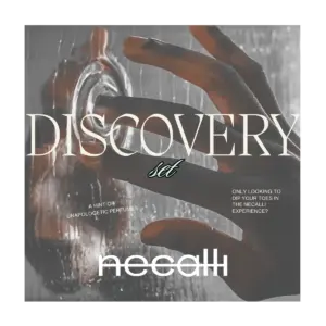 Graphic for the Necalli Discovery set